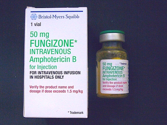 Fungizone 50mg"冷藏"(Amphotericin-B)