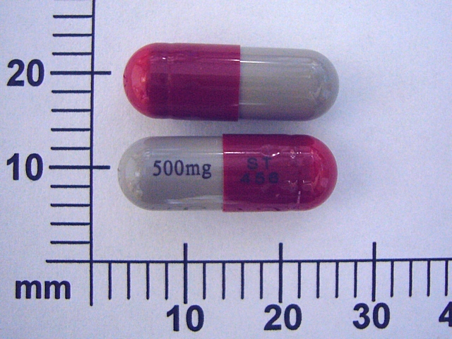 参比制剂,进口原料药,医药原料药 Ampicillin 500mg