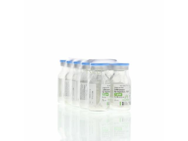 参比制剂,进口原料药,医药原料药 Ceftriaxone 1 Gram SDV - Box/10