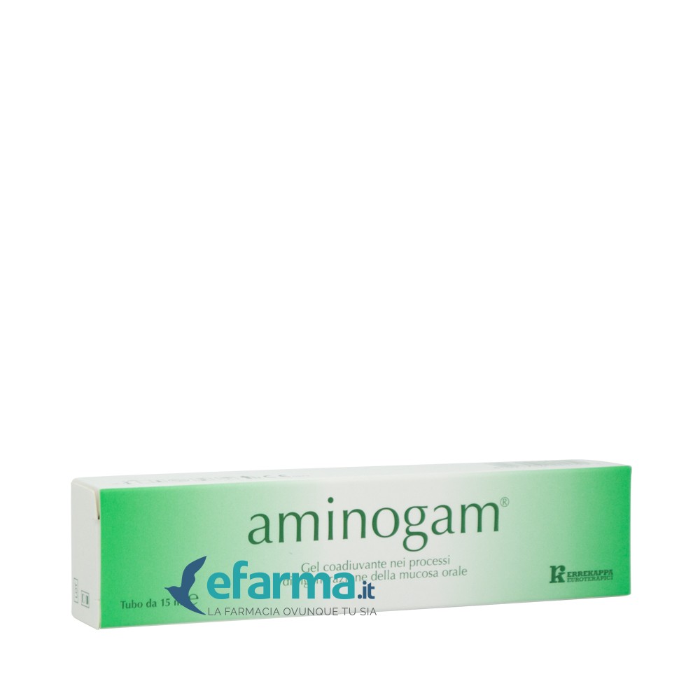 Aminogam Gel Rigenerante Lesioni Mucosa Orale 15 ml