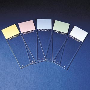 Thermofisher Scientific Superfrost Plus Colorfrost Plus Adhesion Slides # 5951+ - Colorfrost End Adhesion Slides, Blue, gr